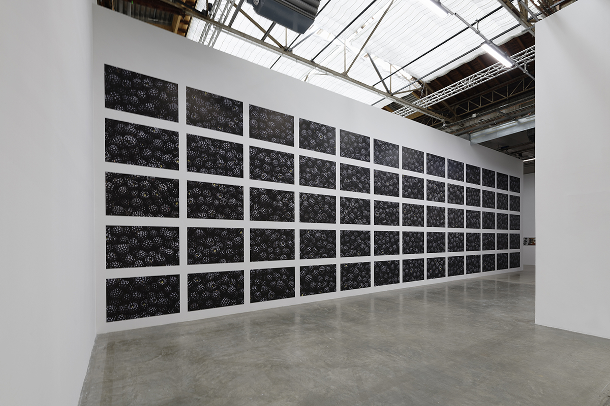 expanded photography Palais de Tokyo